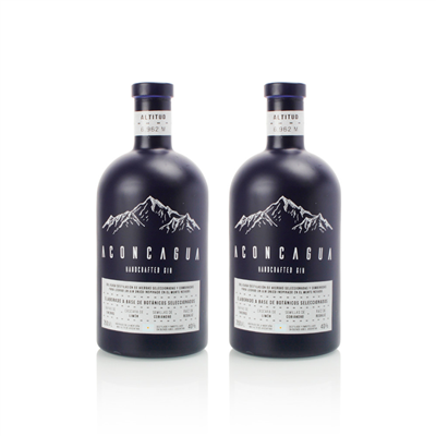 375ml Gin Bottle best